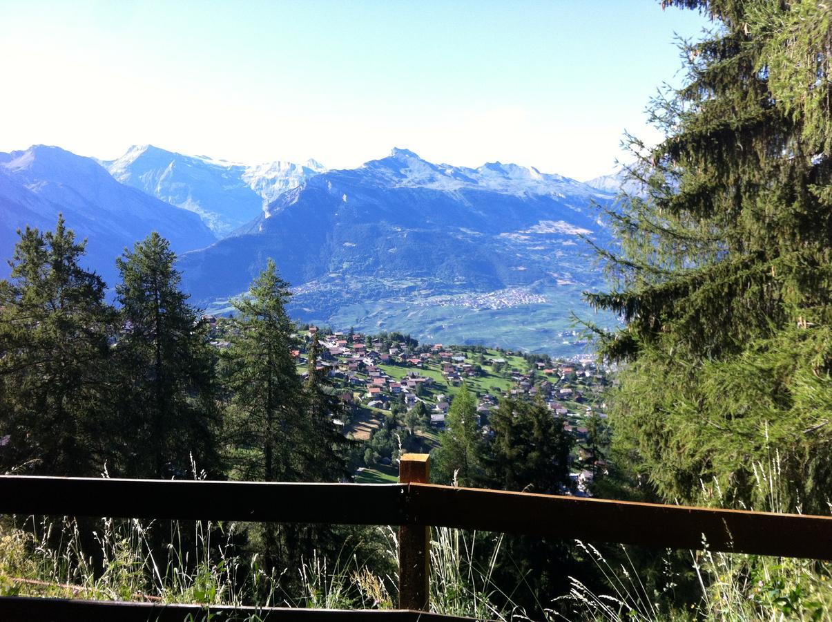Ferienwohnung Greppon Blanc A2 Nendaz Exterior foto